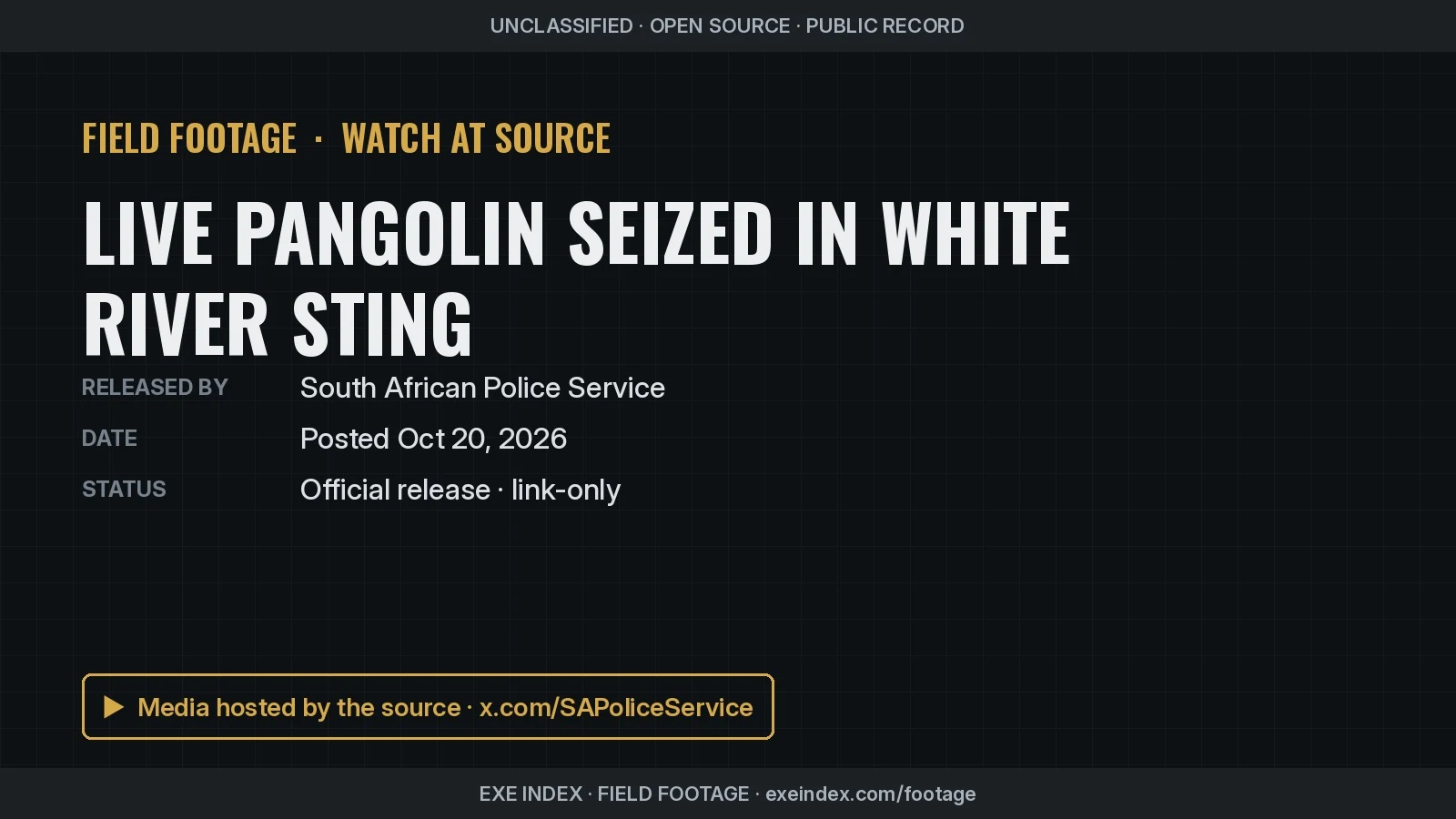 Text poster only. The source photo shows a pangolin curled into a ball of brown overlapping scales, its tail wrapped around it, on the rubber floor mat of a vehicle's rear compartment next to a blue plastic water bowl.
