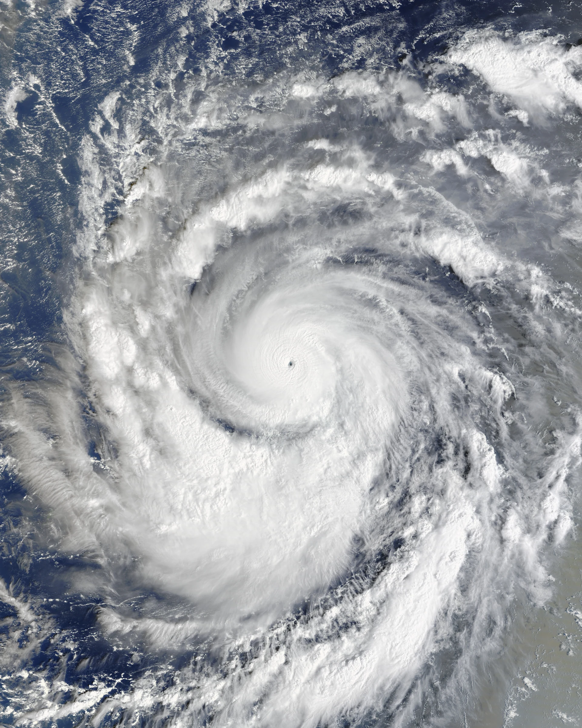 Satellite view from above of a large typhoon: tightly wound white cloud bands spiral around a small, clear eye over the dark blue Pacific Ocean.