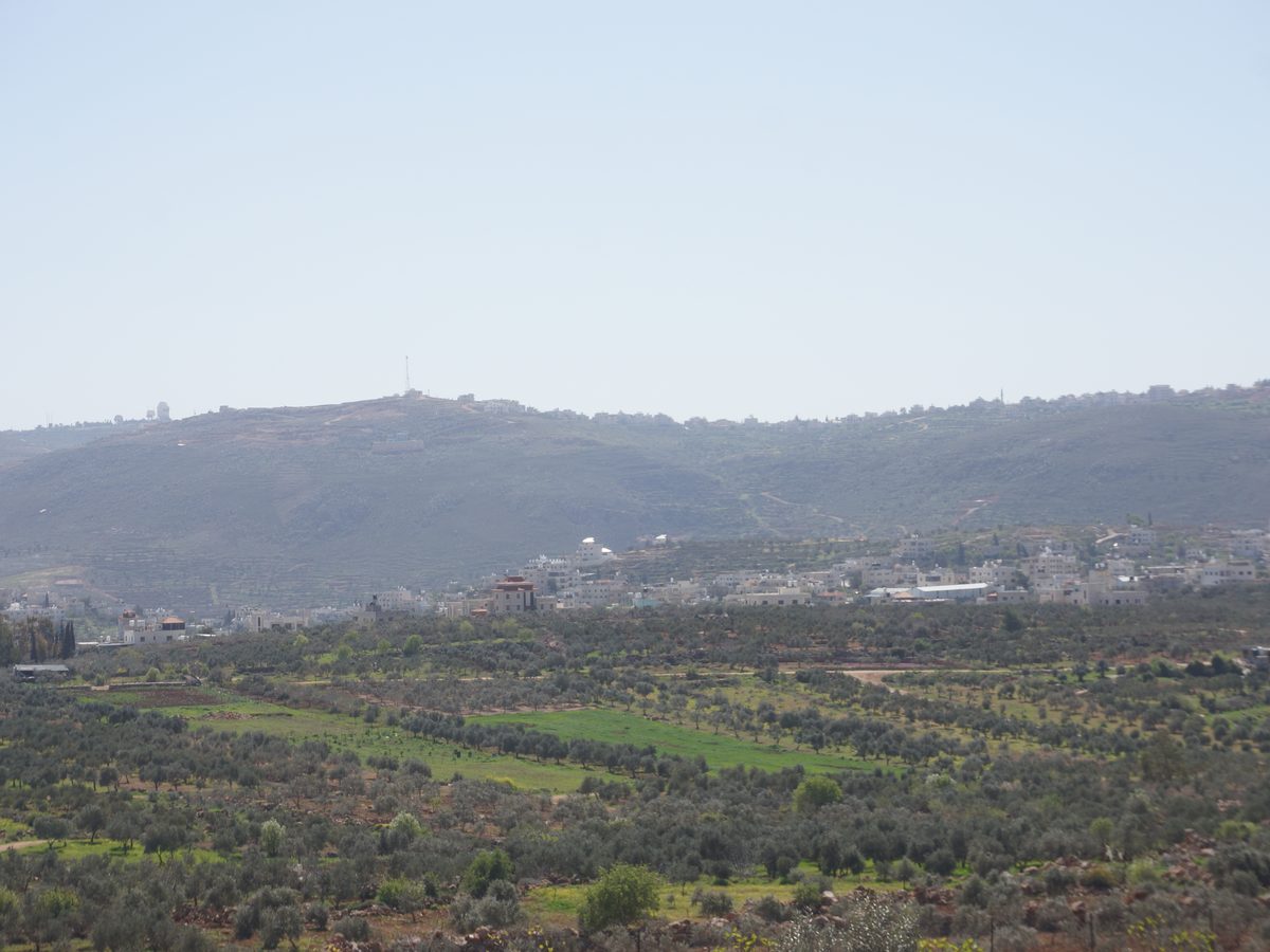 File, March 2026: Khirbet Abu Falah and its olive groves, seen from the northeast · not from this attack